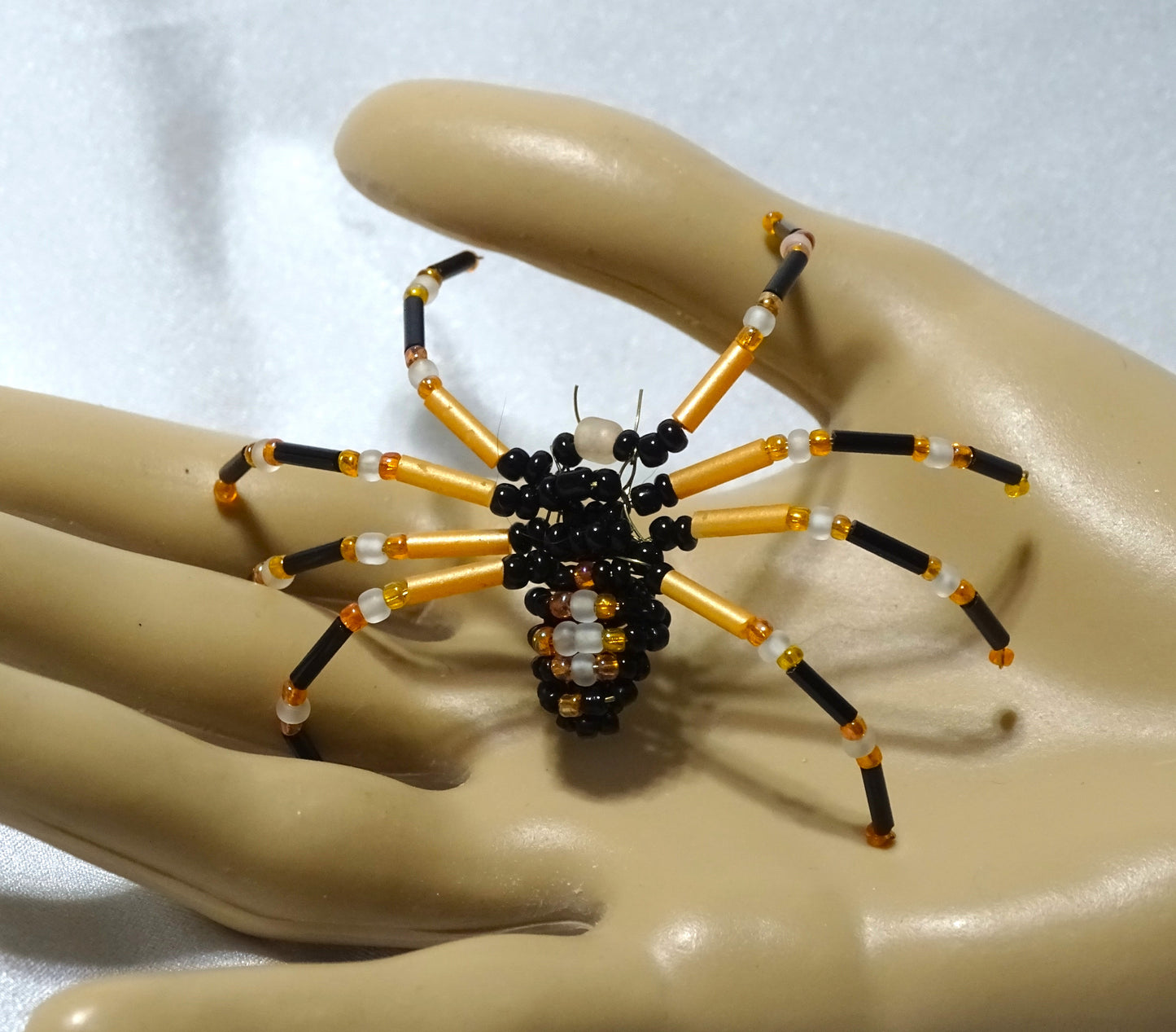 Tri-colored Spider 1