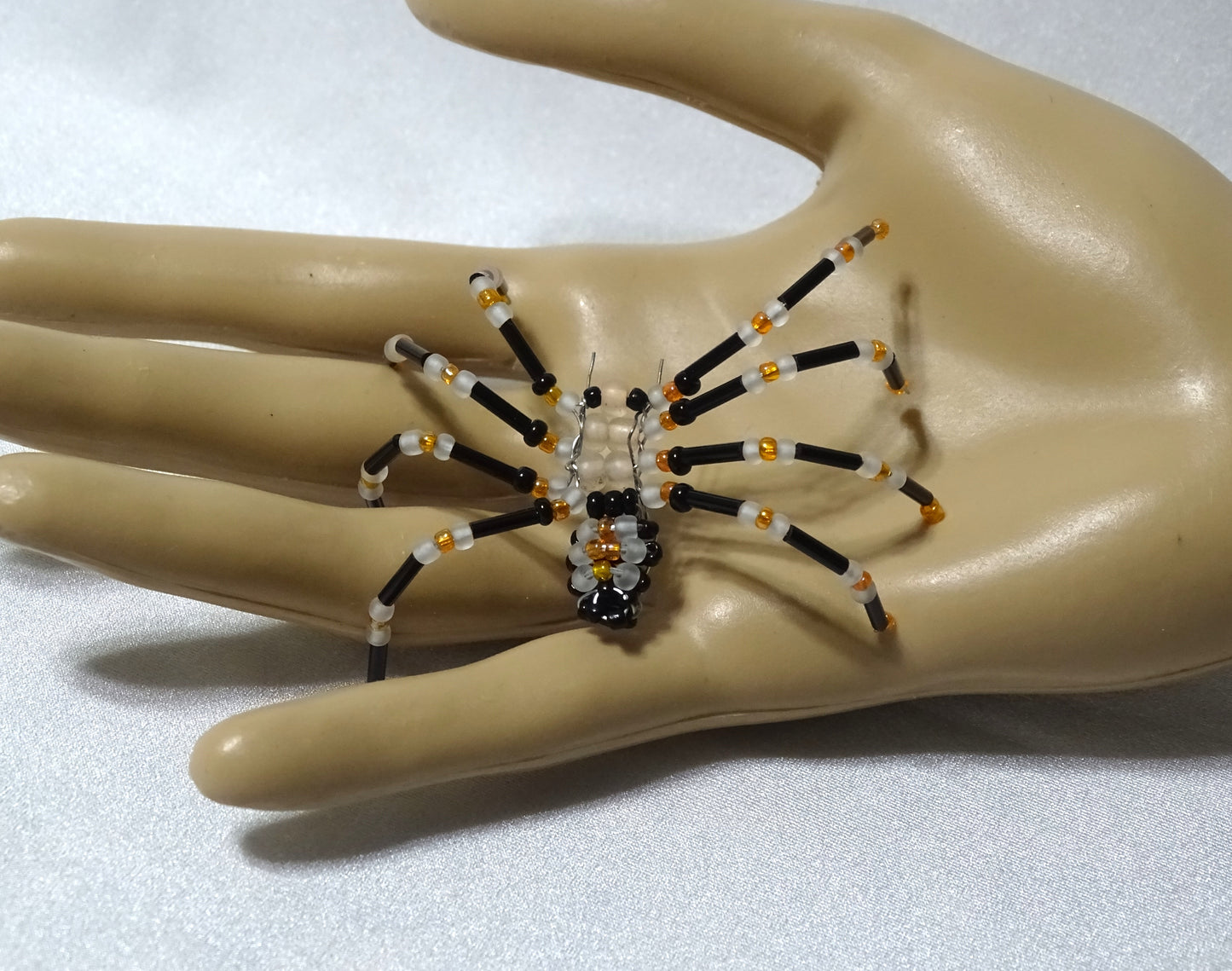 Tri-colored Spider 2