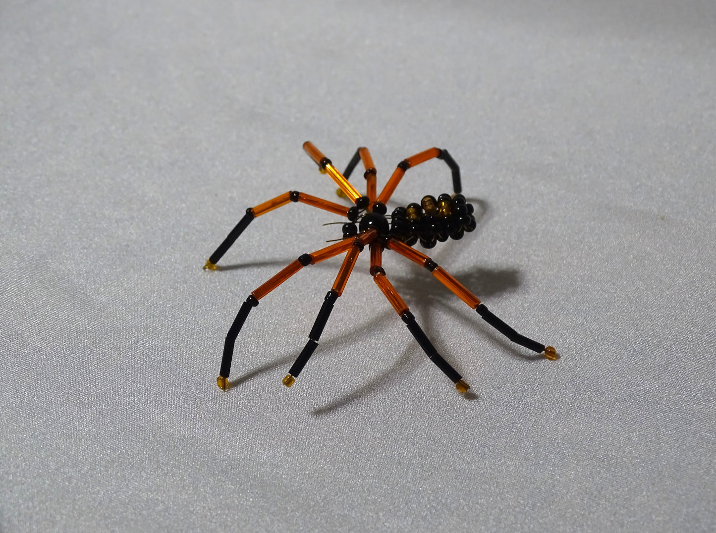 Orange and Black Spider