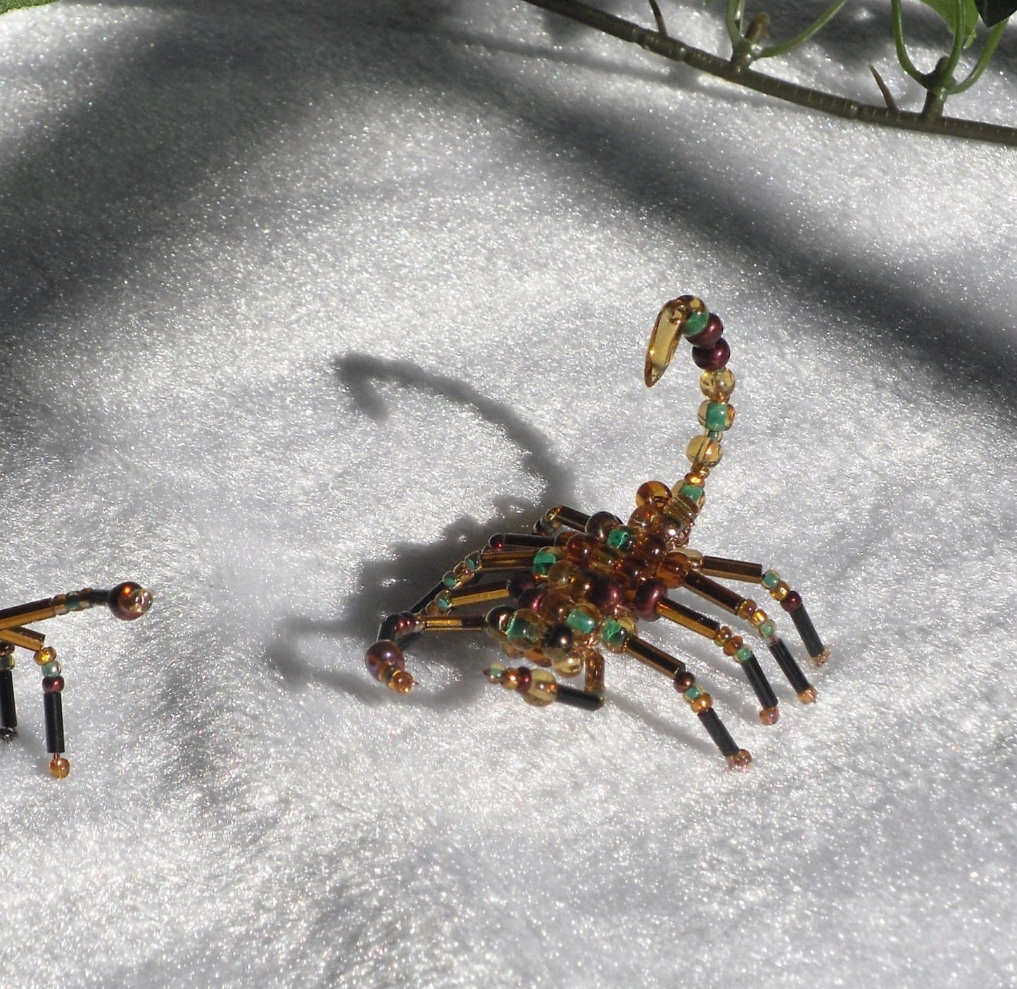 Autumn Scorpion