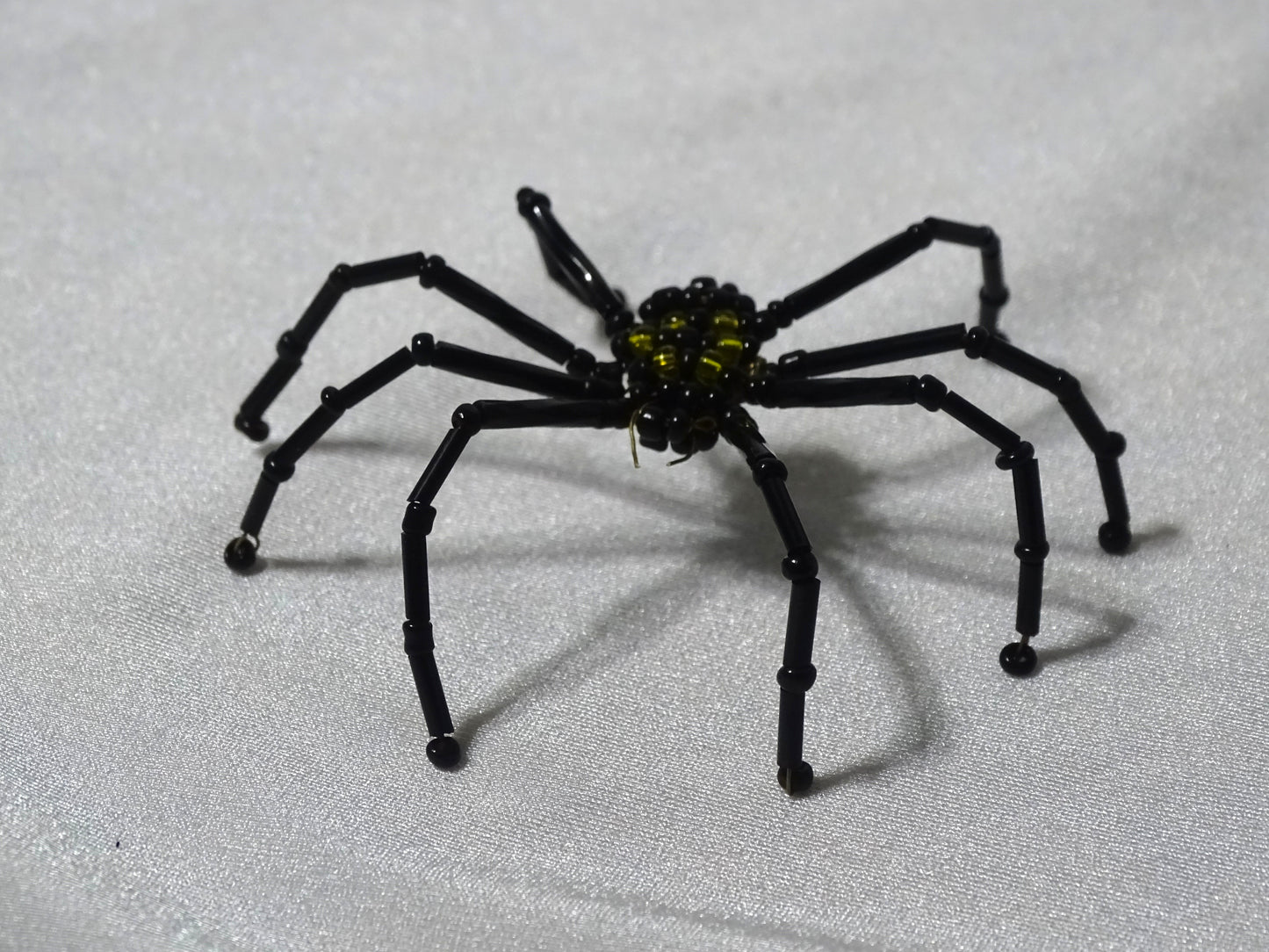 Yellow and Black Spider