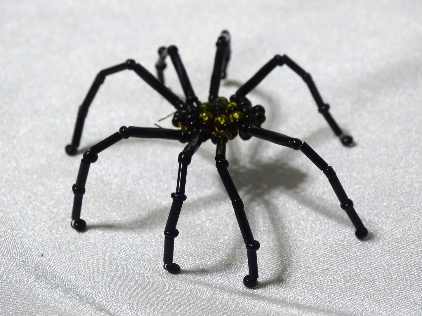 Yellow and Black Spider