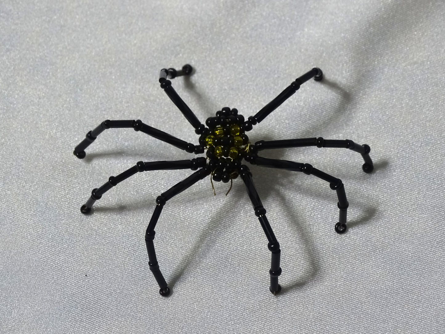 Yellow and Black Spider