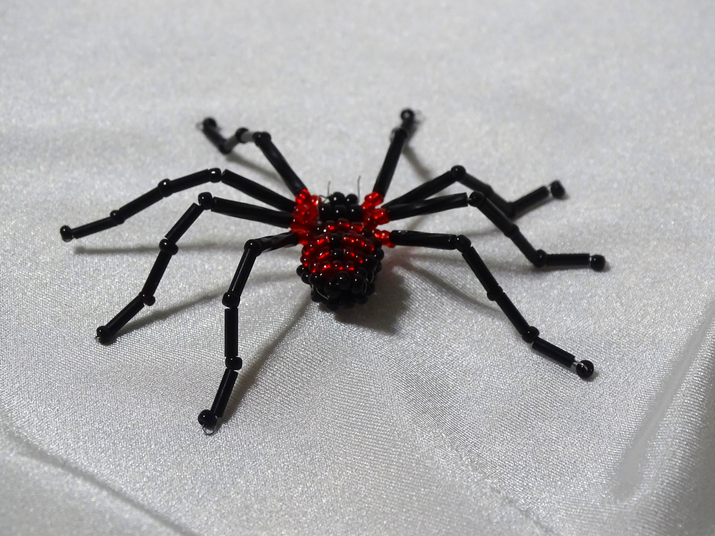 Shammy the Black and Red Shpider