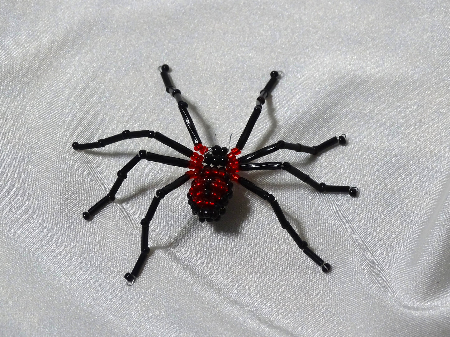 Shammy the Black and Red Shpider