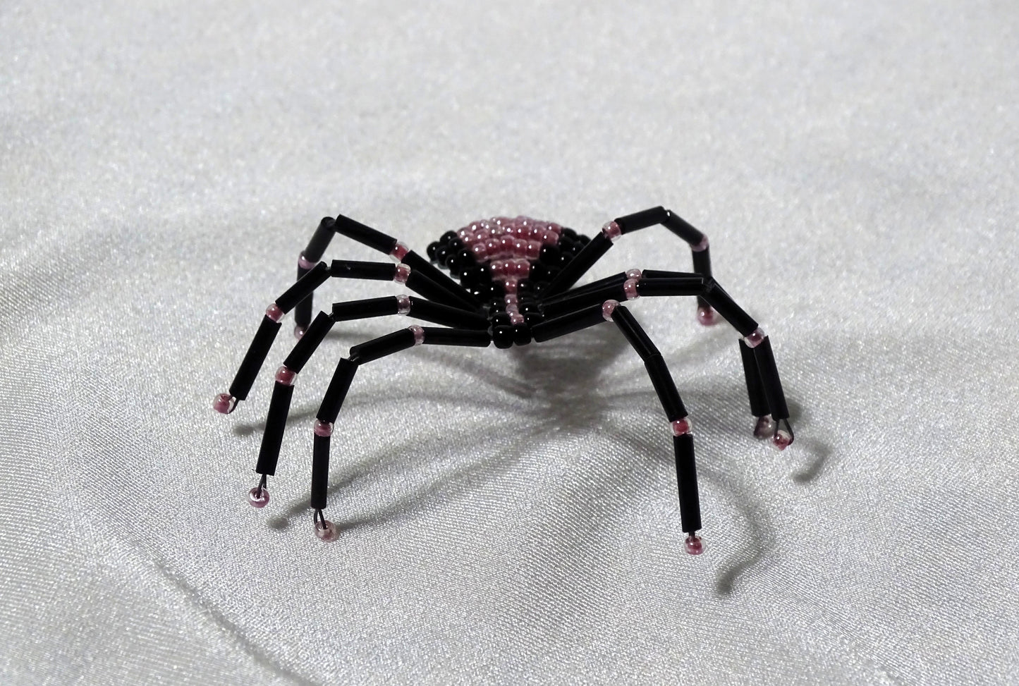 Pearly Pink and Black Spider