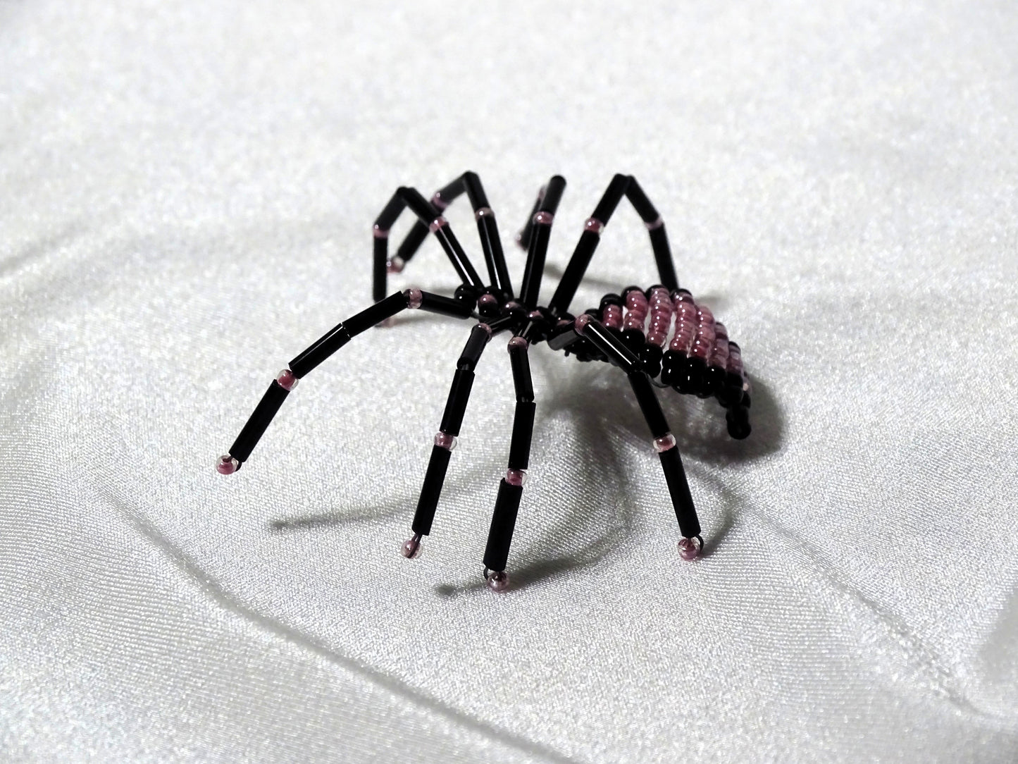 Pearly Pink and Black Spider
