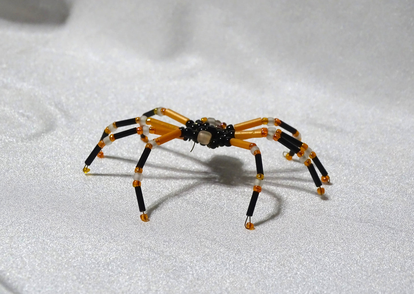 Tri-colored Spider 1