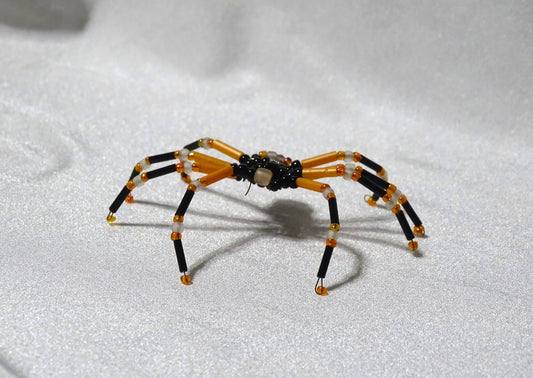 Tri-colored Spider 1