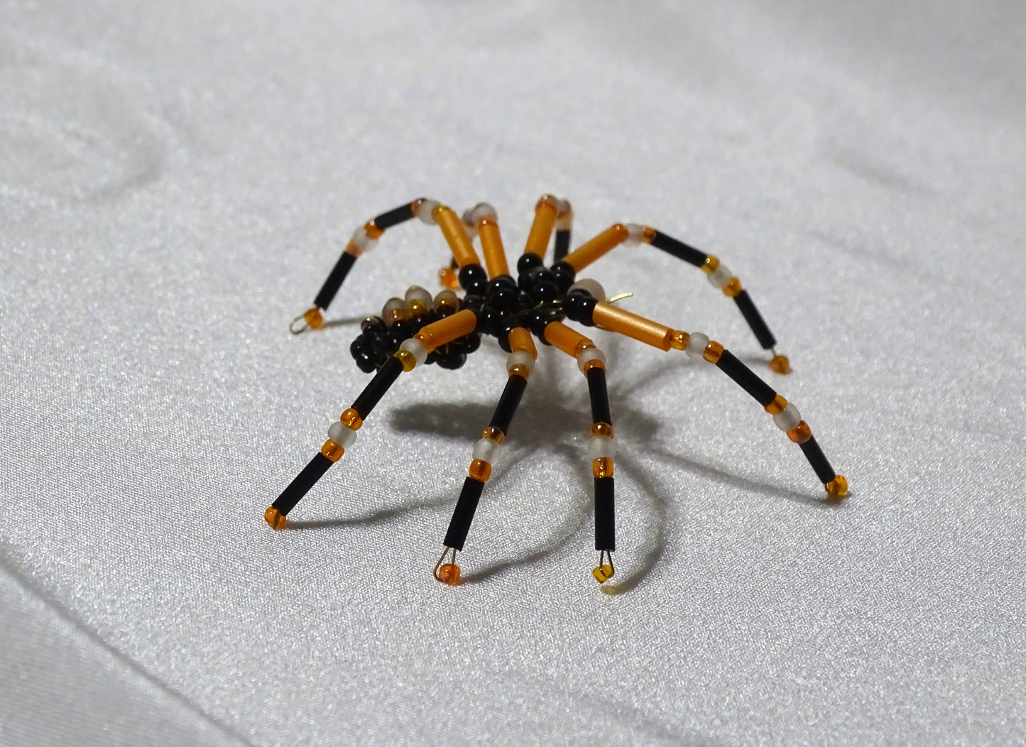 Tri-colored Spider 1