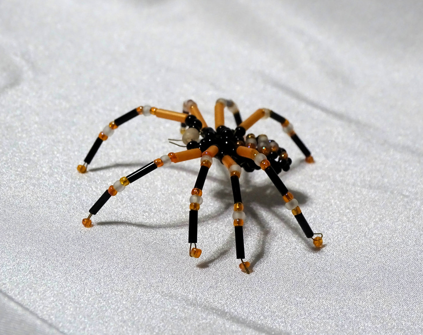 Tri-colored Spider 1