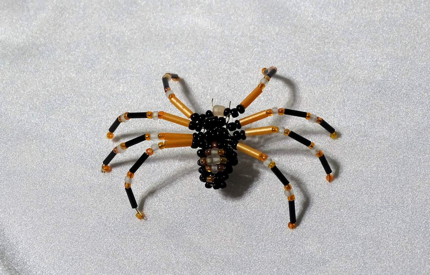 Tri-colored Spider 1