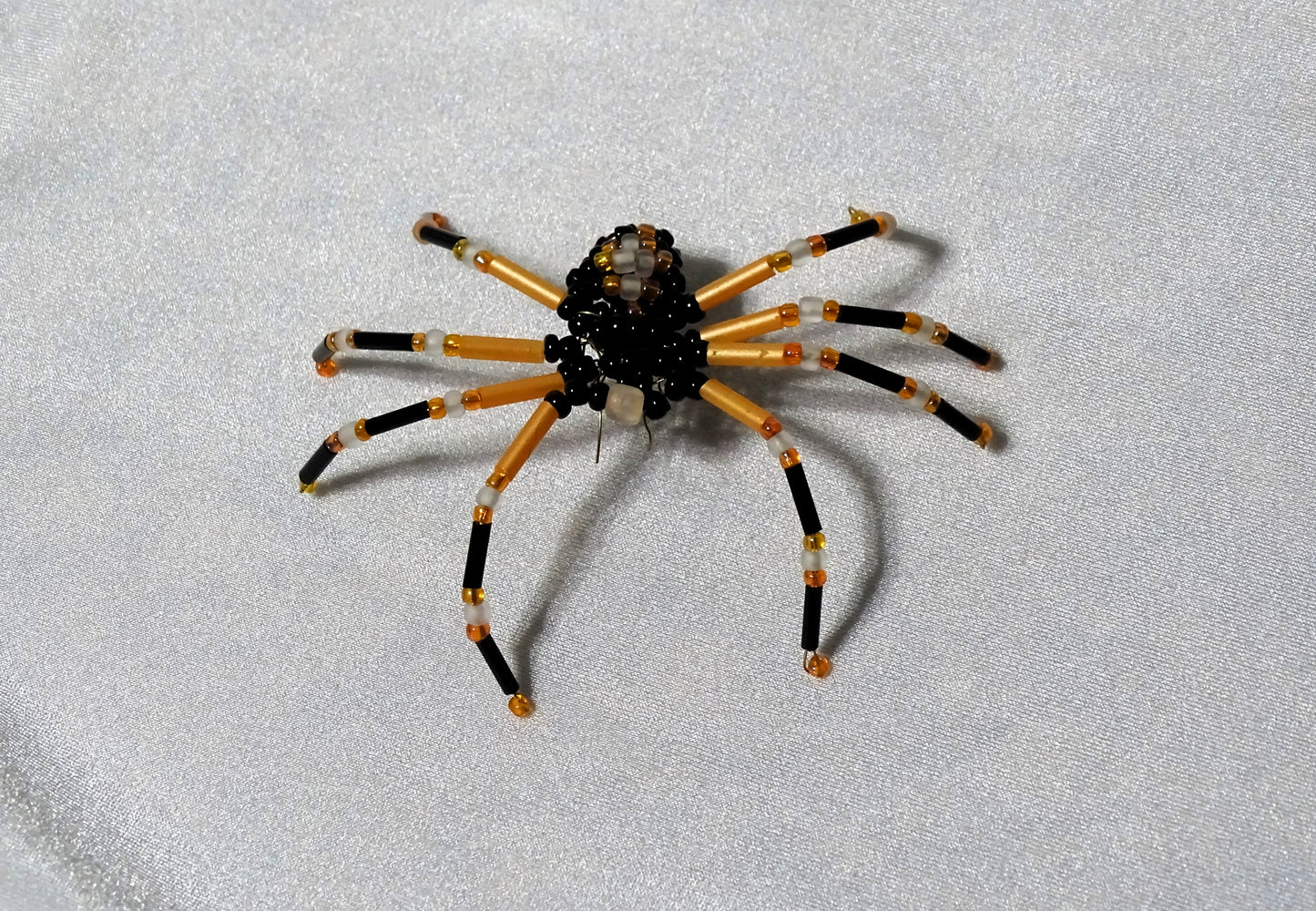 Tri-colored Spider 1