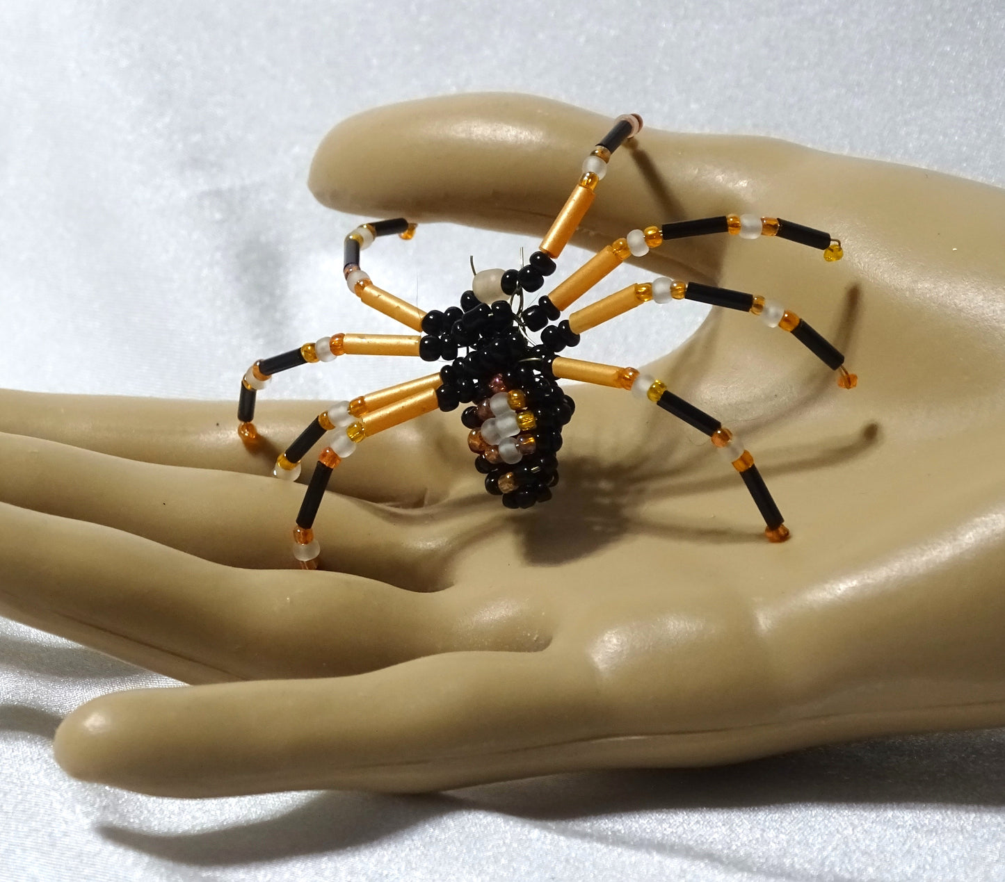 Tri-colored Spider 1