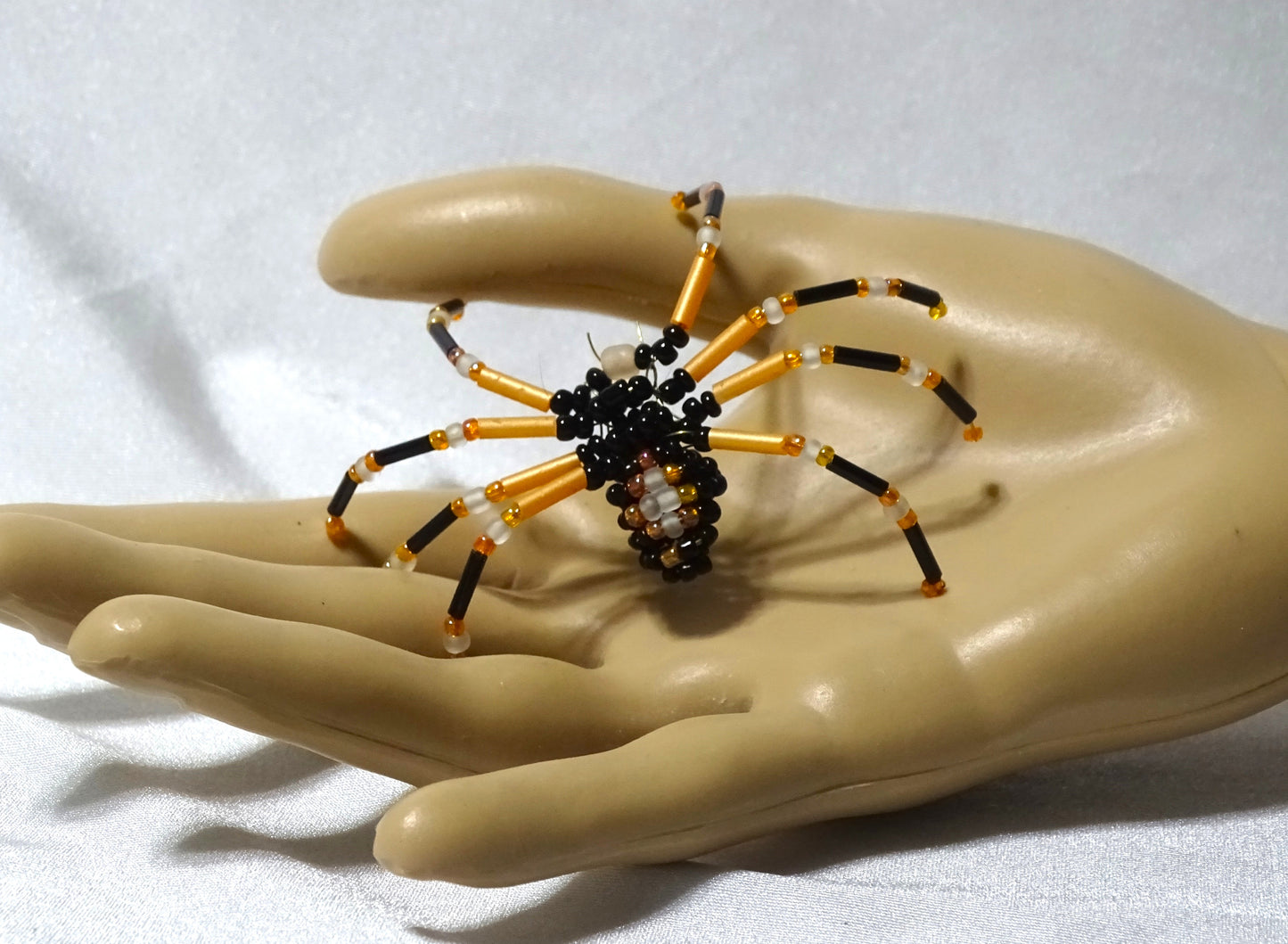 Tri-colored Spider 1