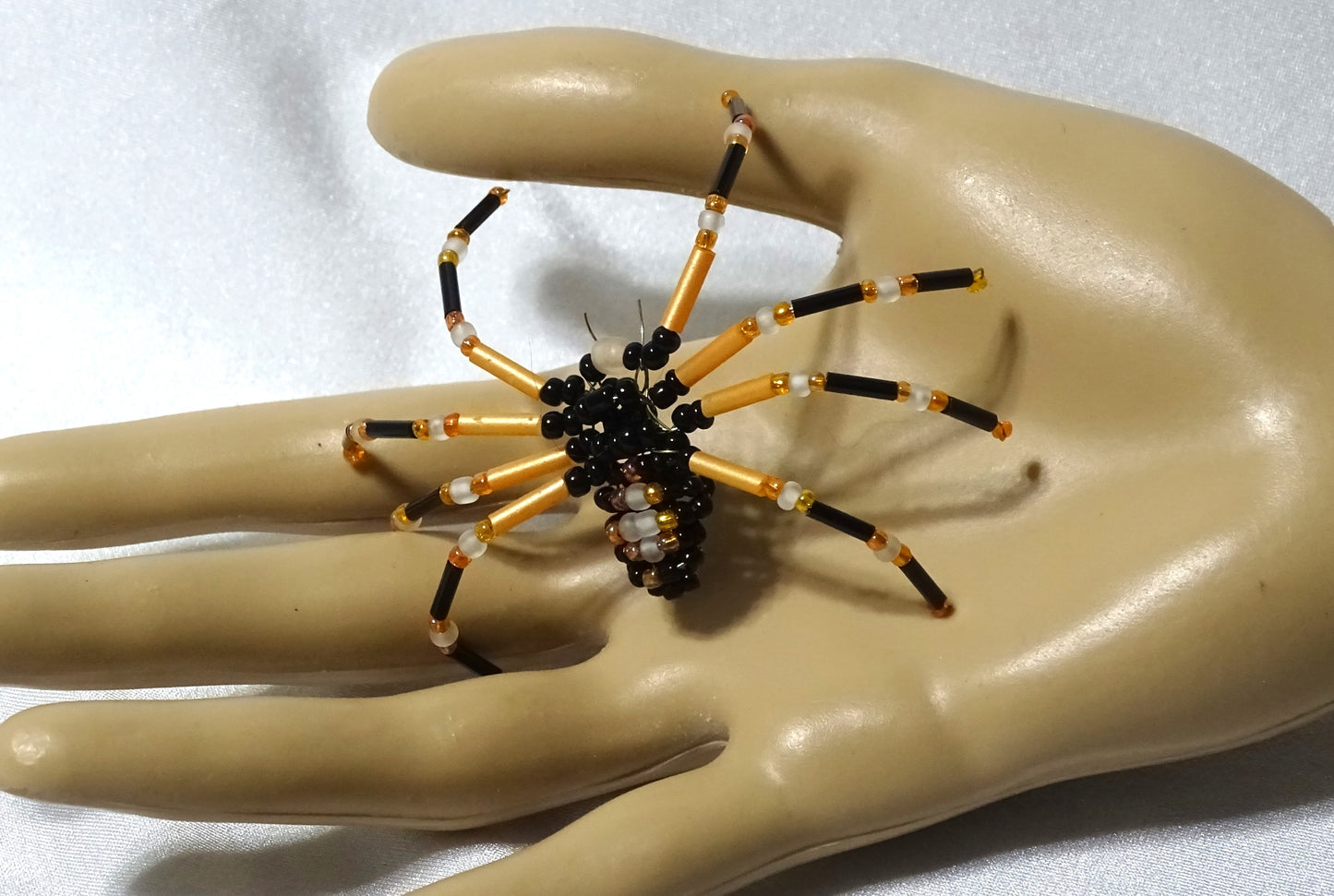 Tri-colored Spider 1