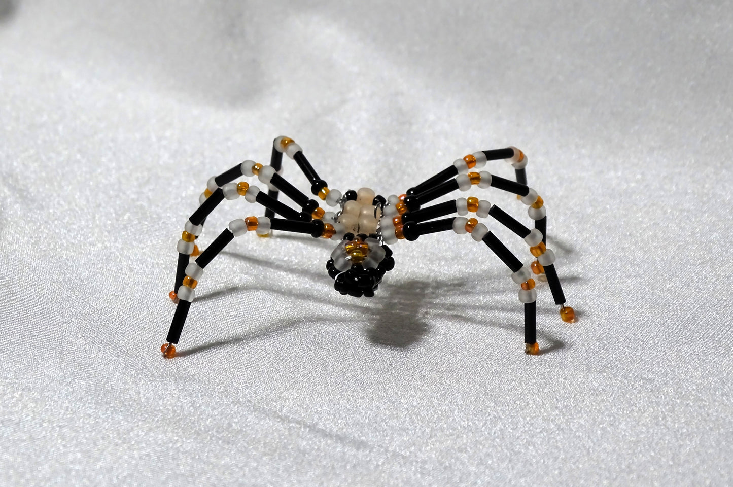 Tri-colored Spider 2