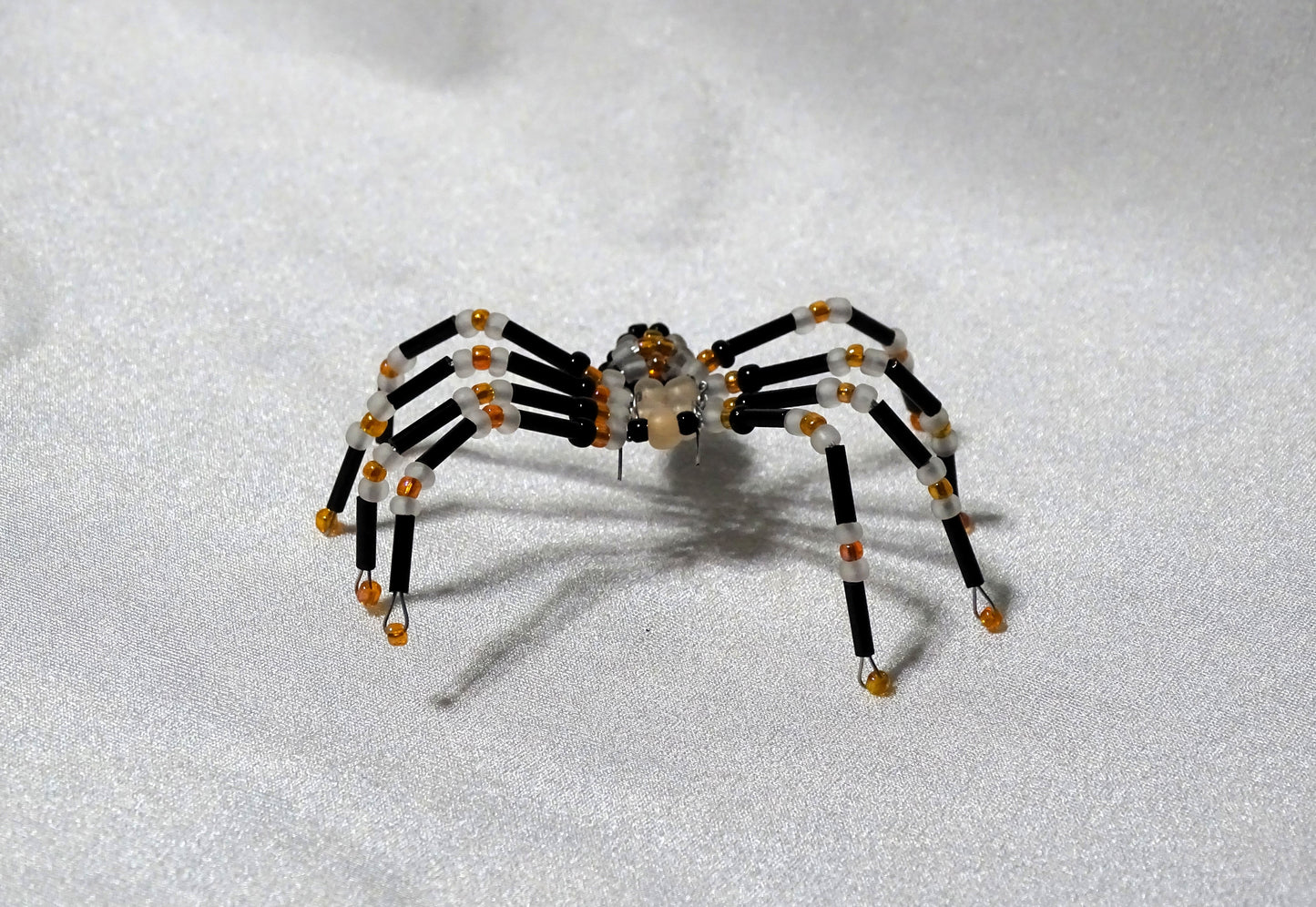 Tri-colored Spider 2