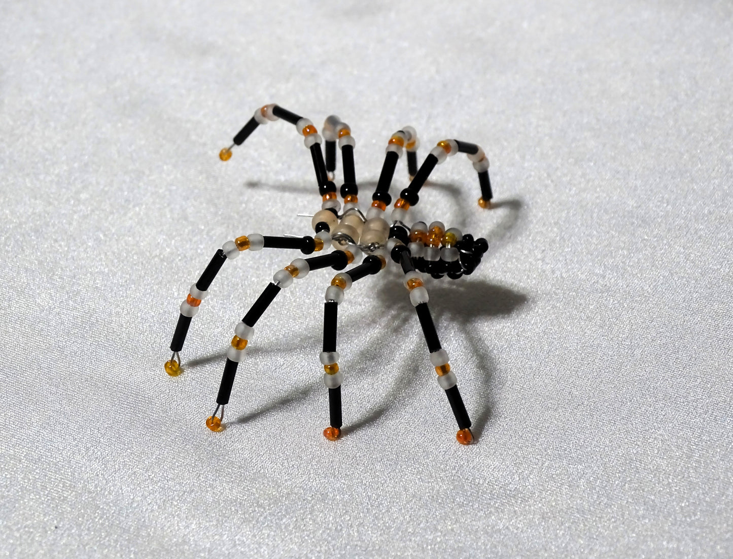 Tri-colored Spider 2