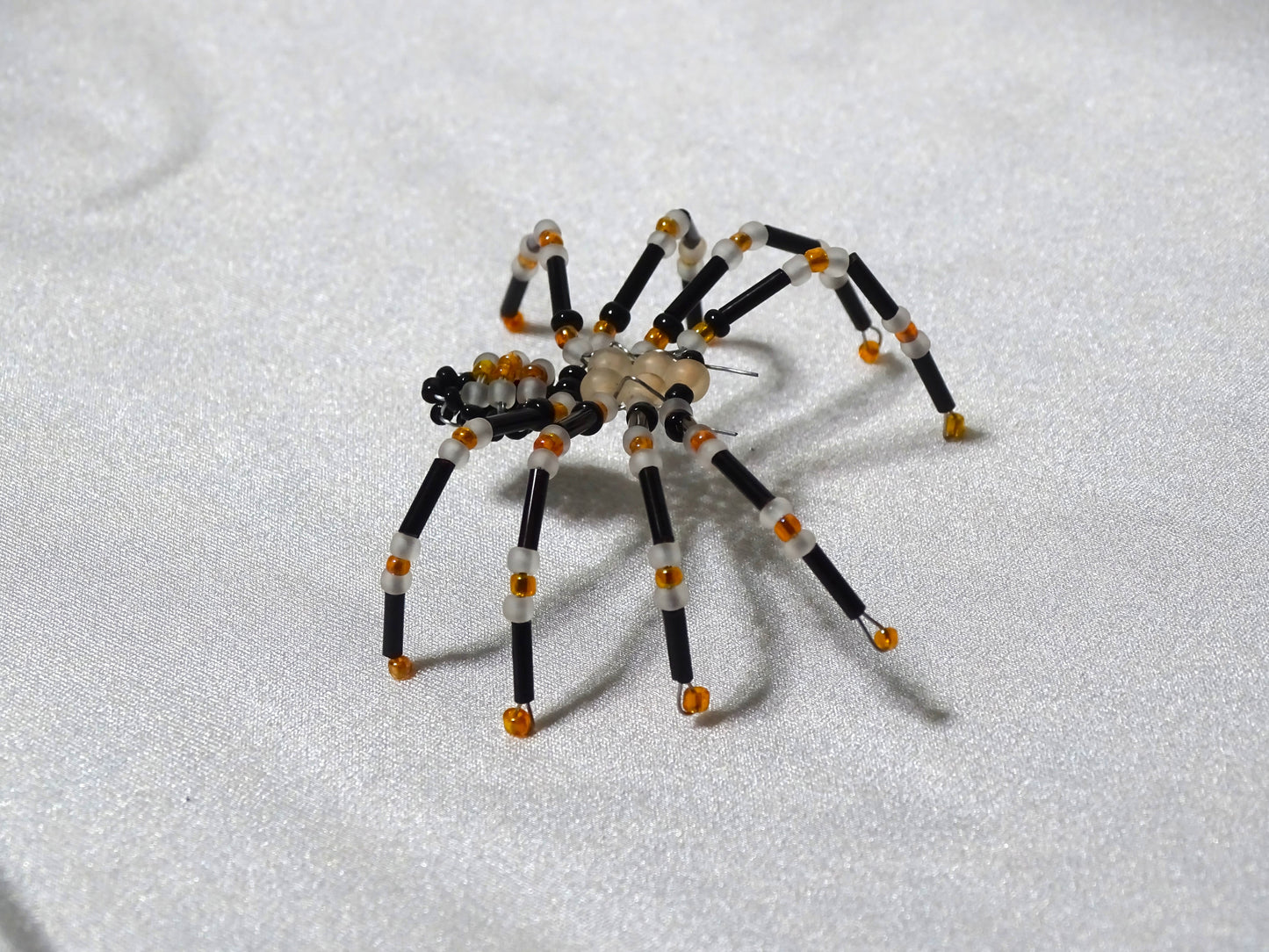 Tri-colored Spider 2