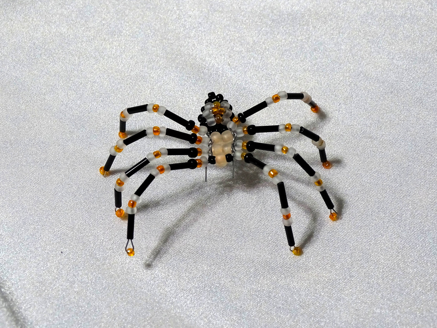 Tri-colored Spider 2