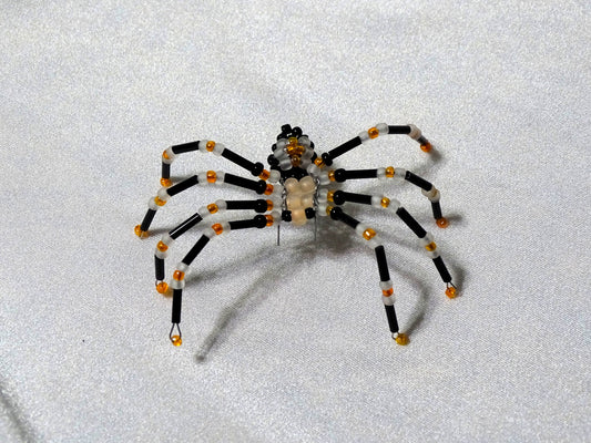 Tri-colored Spider 2