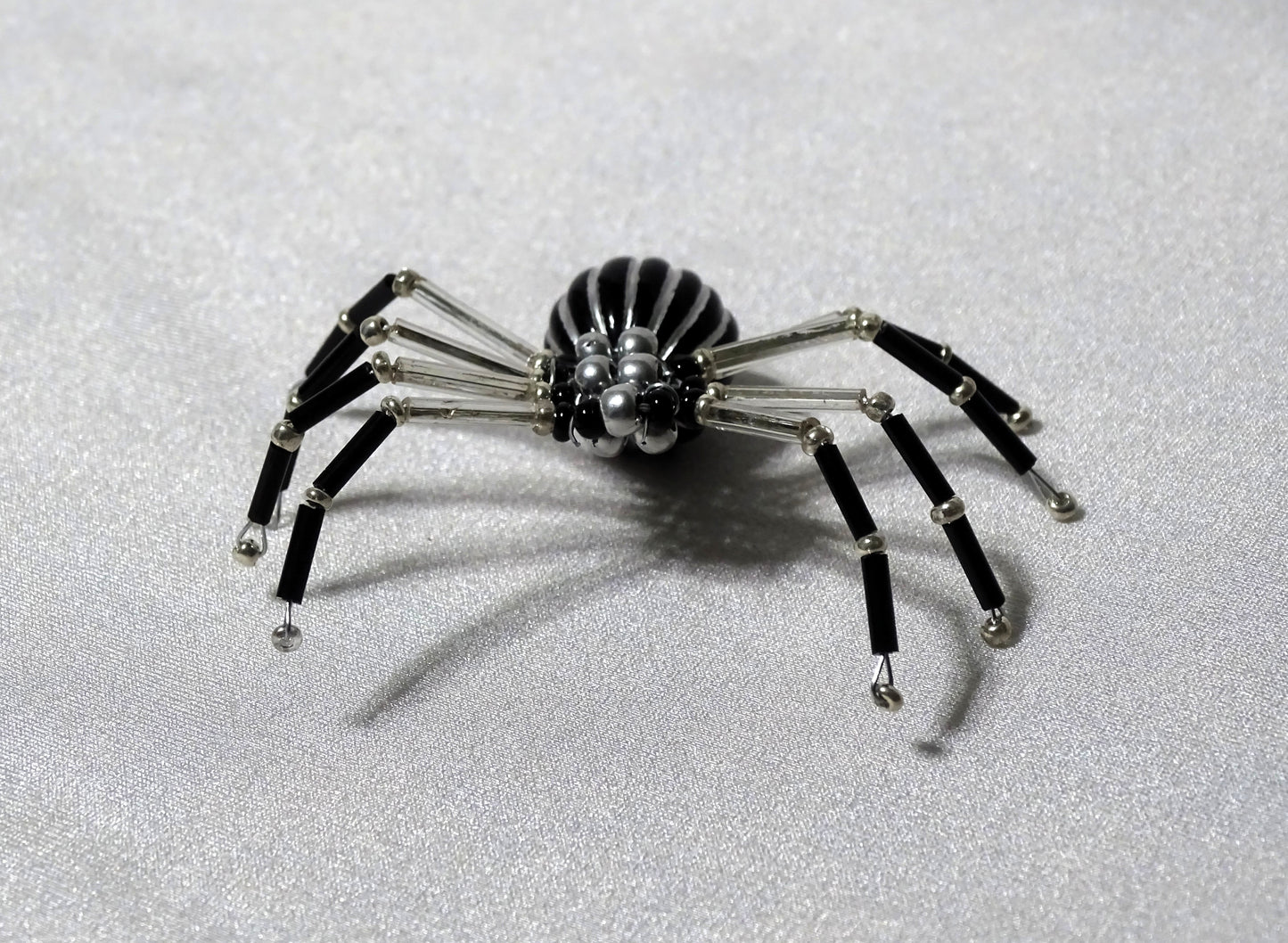Silver and Black Spider