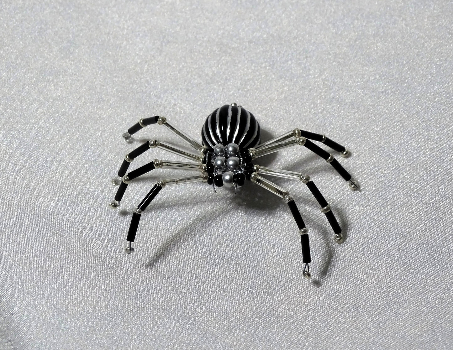 Silver and Black Spider