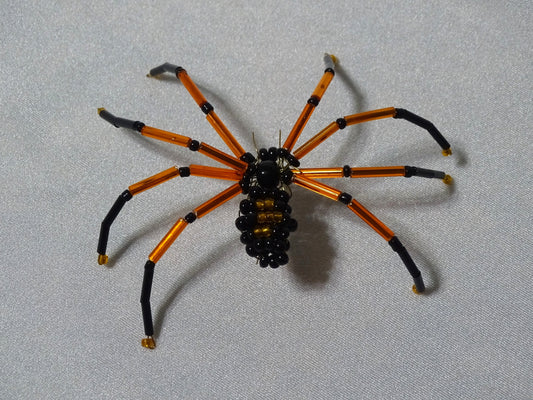 Orange and Black Spider