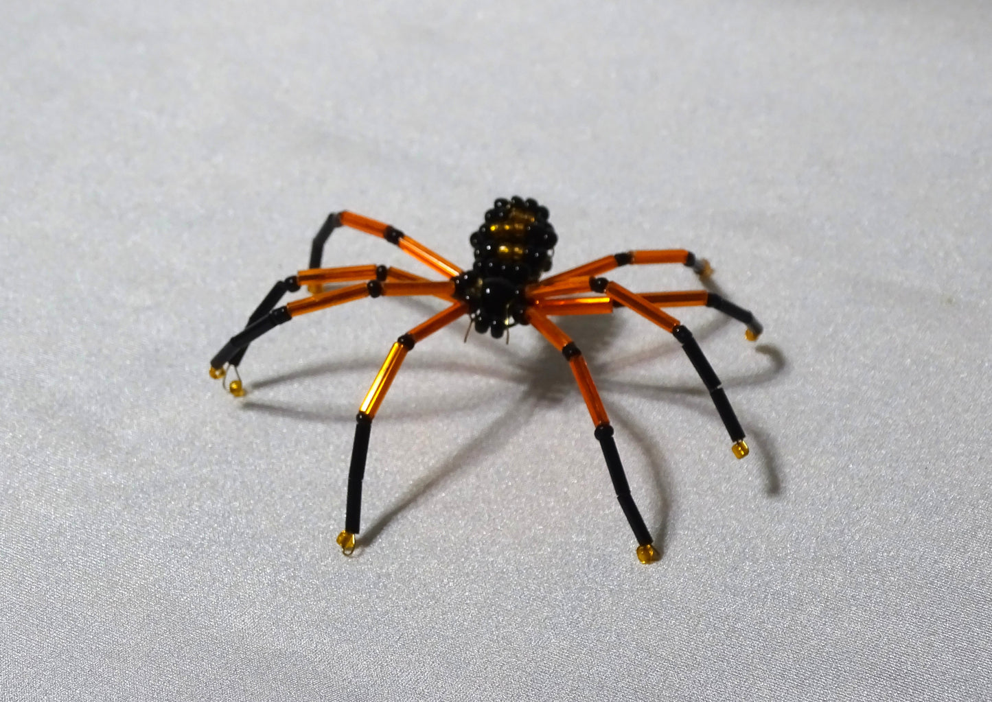 Orange and Black Spider