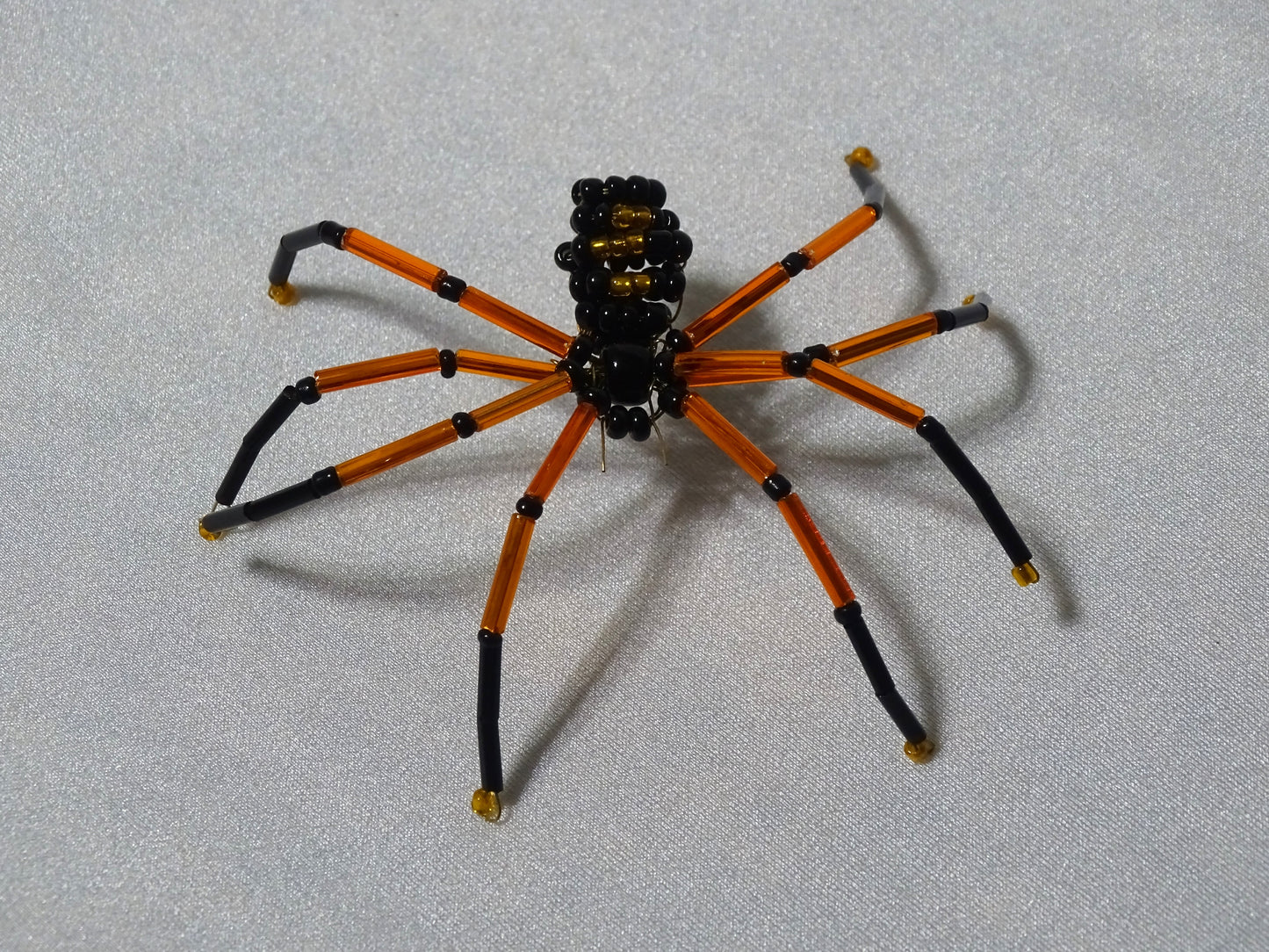 Orange and Black Spider